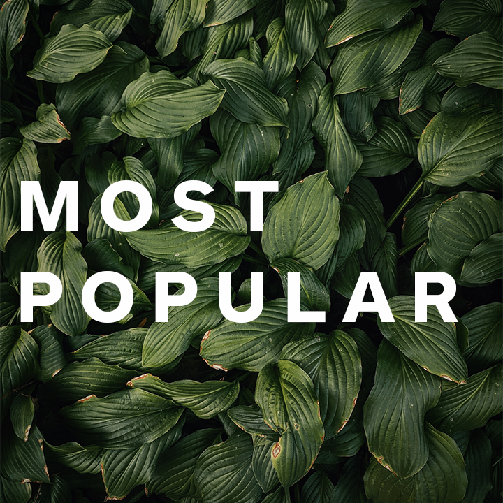 Most Popular